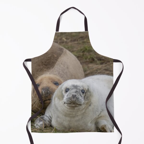 Item preview, Grey seal pup designed and sold by AliMarleyPhoto.