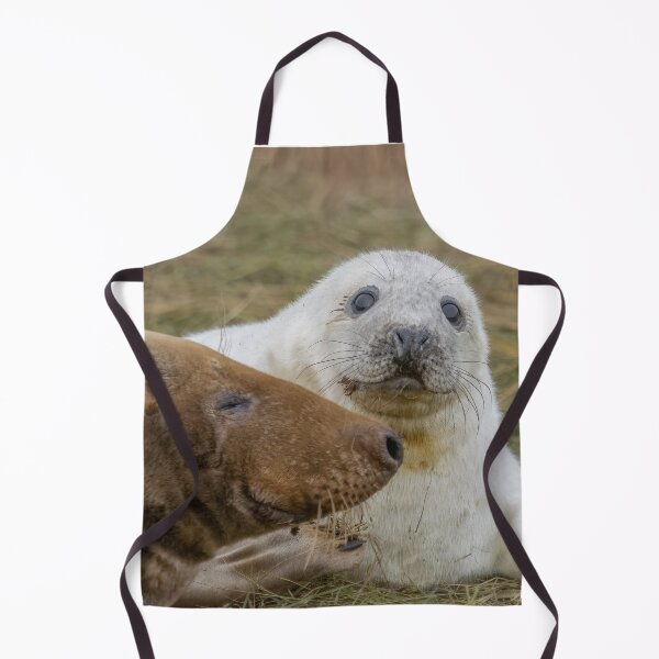 Item preview, Grey seal pup designed and sold by AliMarleyPhoto.