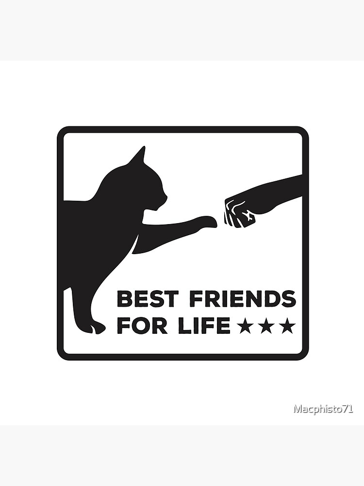Dekokissen mit "Katze Katzen Spruch Beste Katzen Freunde Geschenk" von