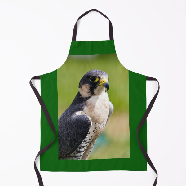 Item preview, peregrine falcon designed and sold by Paul Thompson Photography.