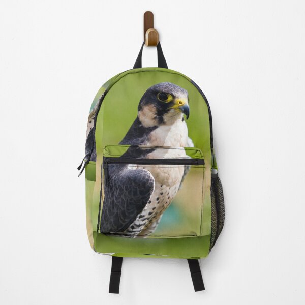 Item preview, peregrine falcon designed and sold by Paul Thompson Photography.