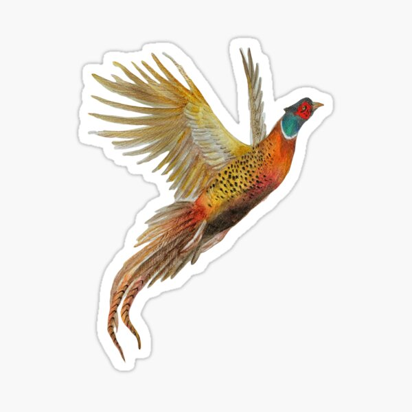 Item preview, Pheasant in flight designed and sold by Liliumfineart.