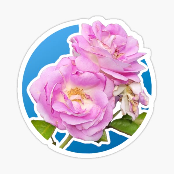 Item preview, Roses Abloom  designed and sold by pvgirl93.