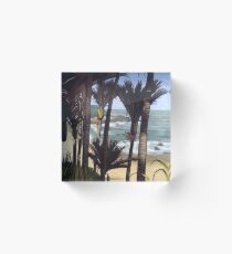 Majestic New Zealand Nikau Palms Acrylic Block