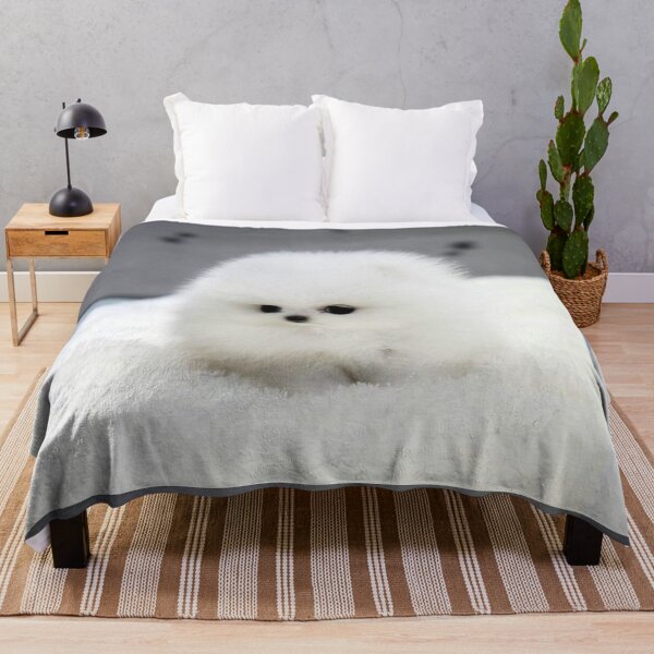 Artikelvorschau, Hund Schneeball Fotoportrait süß Hündchen süß Surprised pet entworfen und verkauft von Coolstuff4you71.