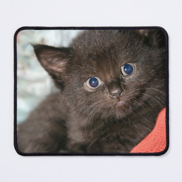 Item preview, Smudge designed and sold by Paul Thompson Photography.