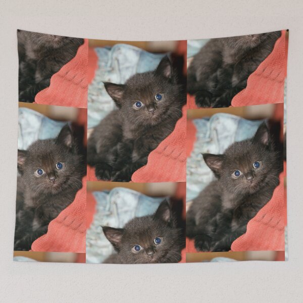 Item preview, Smudge designed and sold by Paul Thompson Photography.