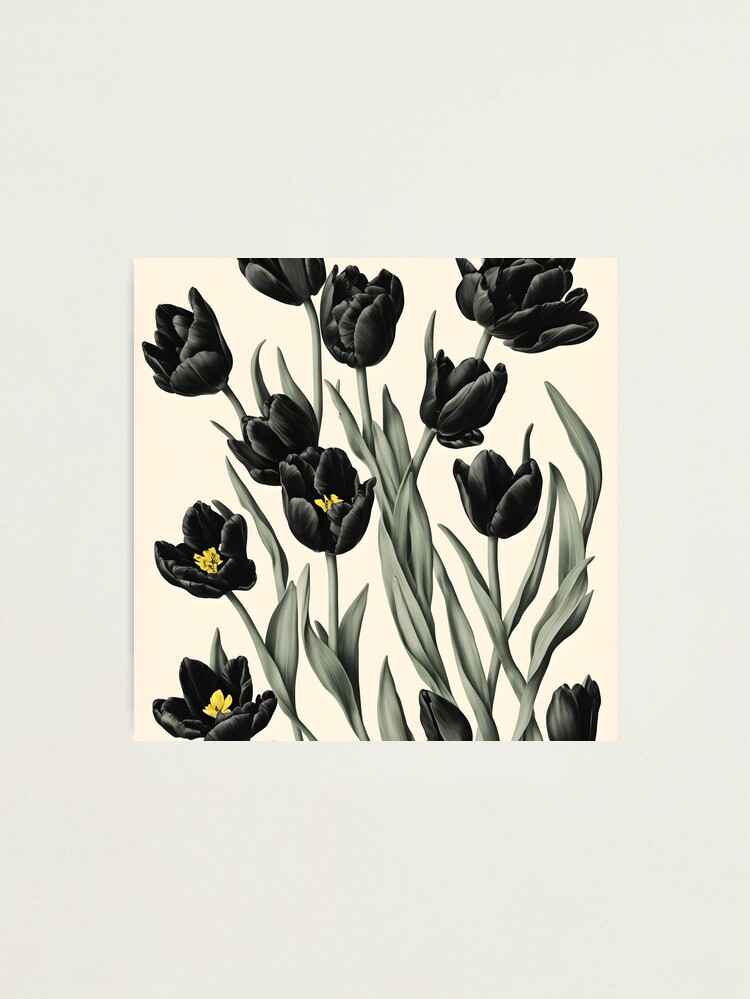 Tulipanes Negros  La Reina de la Noche