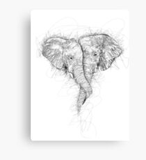 Elephant Hug Canvas Print