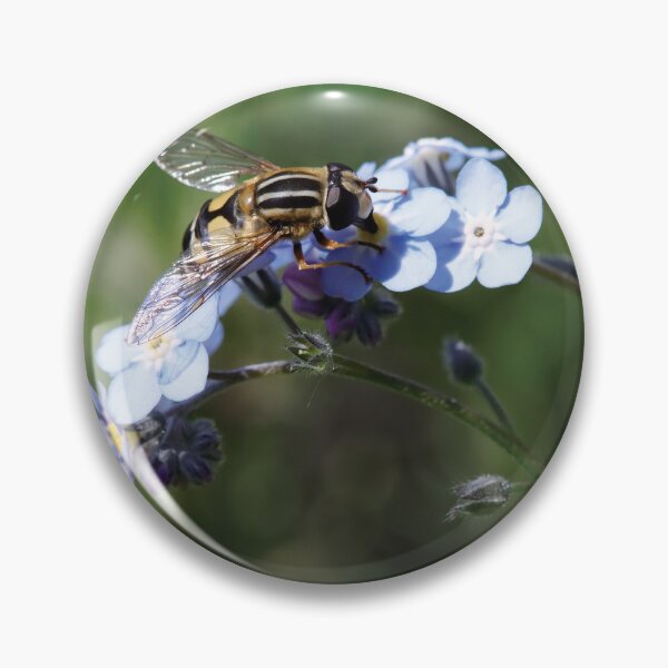 Item preview, European Hoverfly designed and sold by Dragonology.