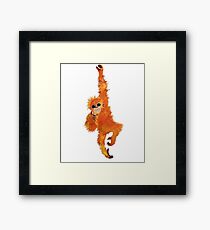 Orangutan monkey Framed Print