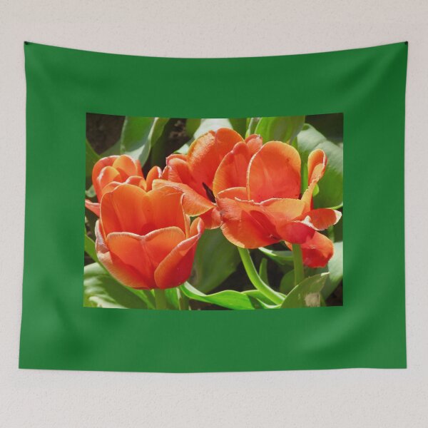 Item preview, Orange tulips designed and sold by Shulie1.