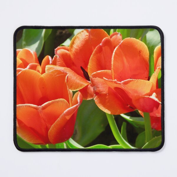 Item preview, Orange tulips designed and sold by Shulie1.