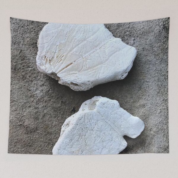 Item preview, Broken Sand Dollars | Nature Fossil Photography designed and sold by Jacqueline Elise.