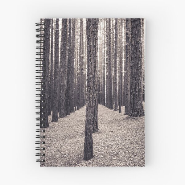 Item preview, Speckled light & tall trees designed and sold by LukeDavidPhoto.