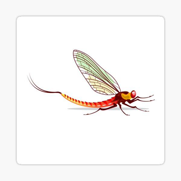 Mayfly Sticker