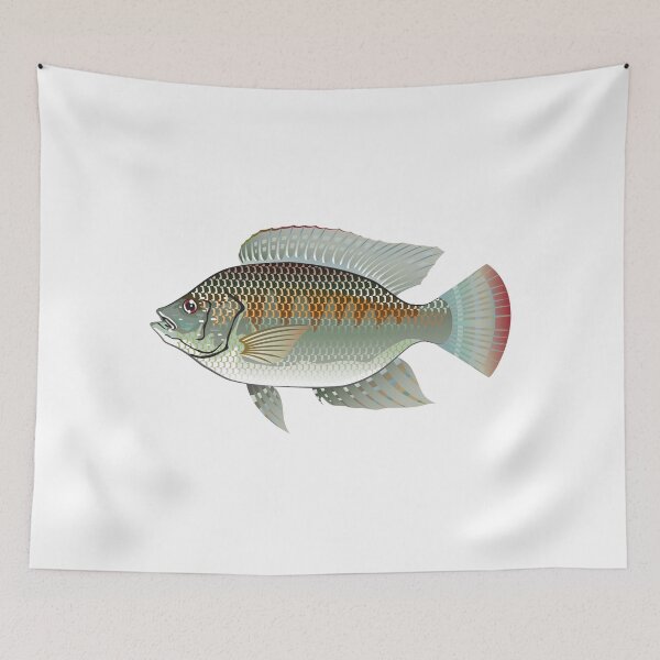 Item preview, Tilapia Market fish designed and sold by vectorworks51.