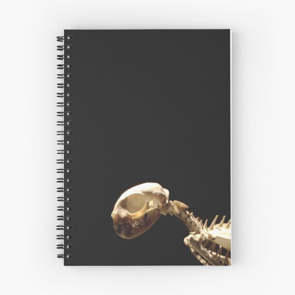 Item preview, Skeleton Moment designed and sold by Hankonen.