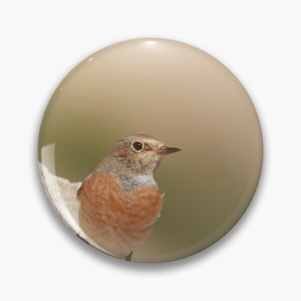 Item preview, Redstart rock designed and sold by miradorpictures.