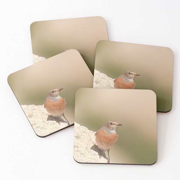 Item preview, Redstart rock designed and sold by miradorpictures.