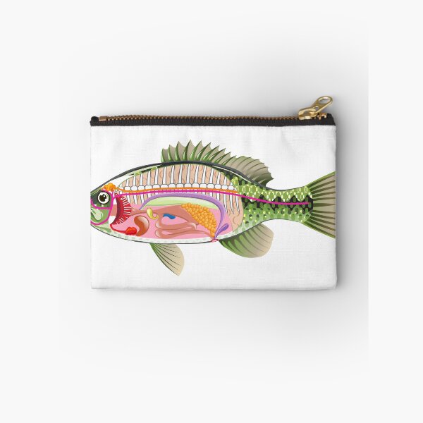 Item preview, Bass Internal organs Open Fish designed and sold by vectorworks51.