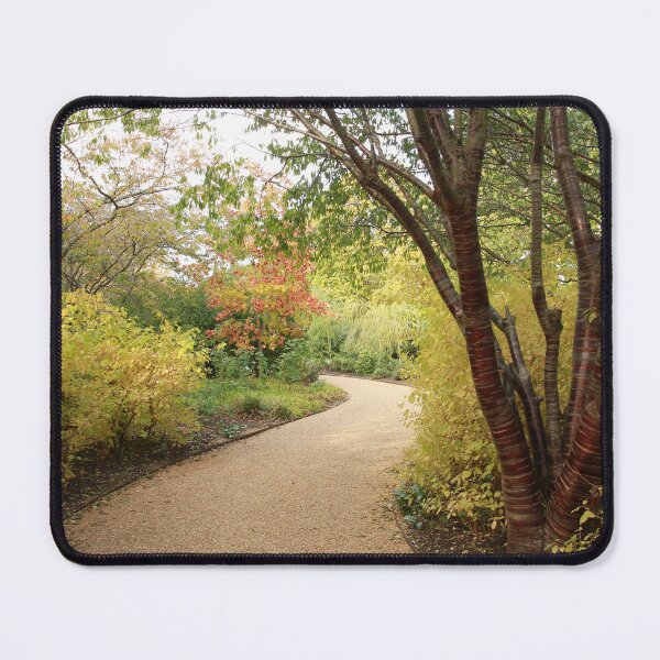 Item preview, In the winter garden designed and sold by miradorpictures.