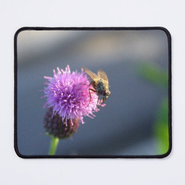 Item preview, Fly & Thistle designed and sold by Hankonen.