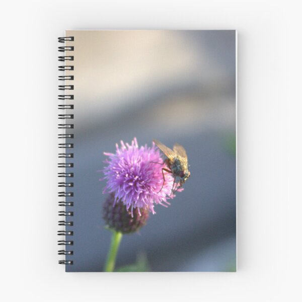 Item preview, Fly & Thistle designed and sold by Hankonen.