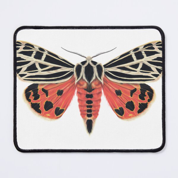 Item preview, Vigin Tiger Moth  designed and sold by gamboubistrac.