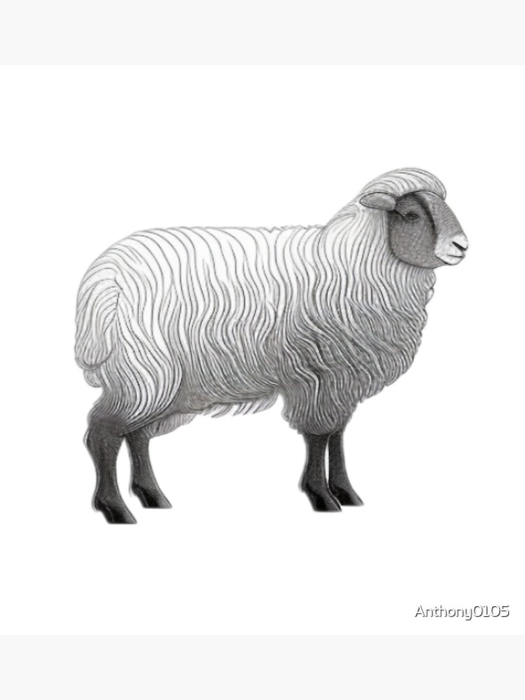 Discover Sheep Premium Matte Vertical Poster