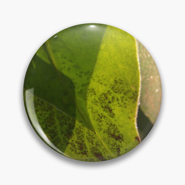 Item preview, Frosty Leaves designed and sold by Hankonen.