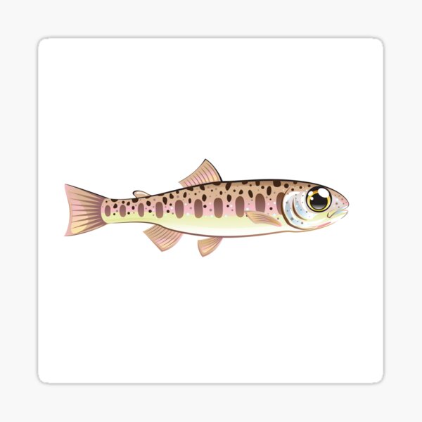 Baby Trout tiny minnow Sticker