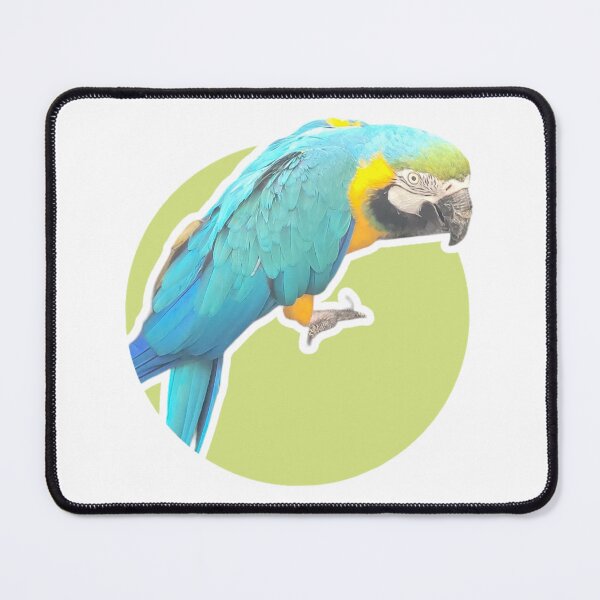 Item preview, A Blue & Yellow Macaw in Green  designed and sold by pvgirl93.