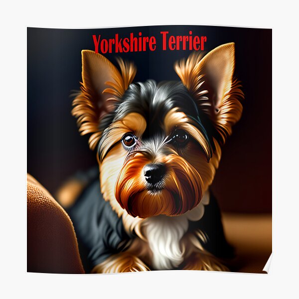 Yorkshire Terrier Poster