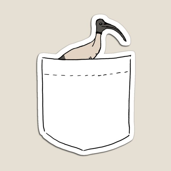 Pocket Bin Chicken Magnet
