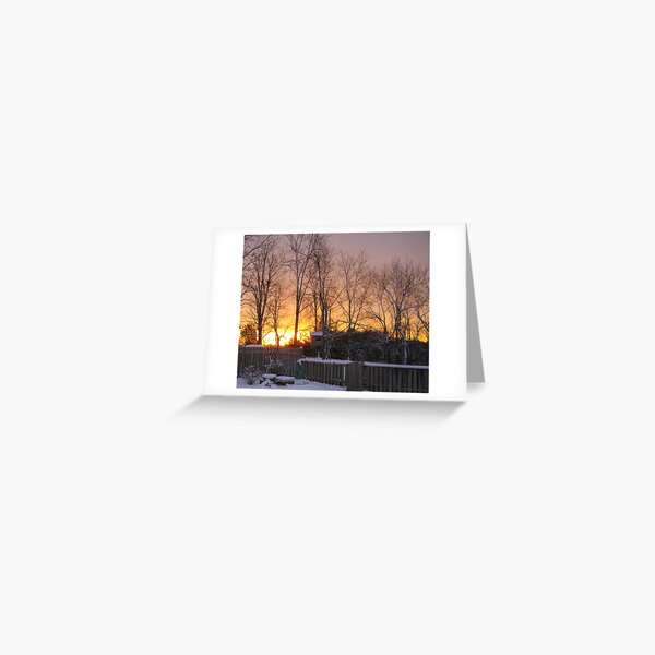 Early Morning Sun and Snow Greeting Card