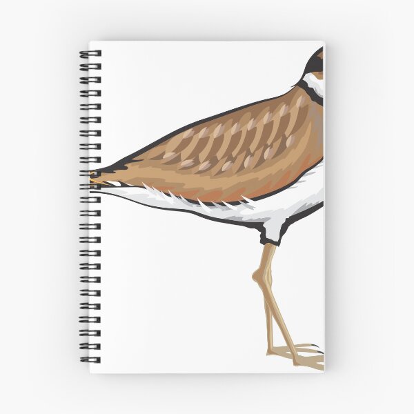 Item preview, Killdeer Bird designed and sold by vectorworks51.