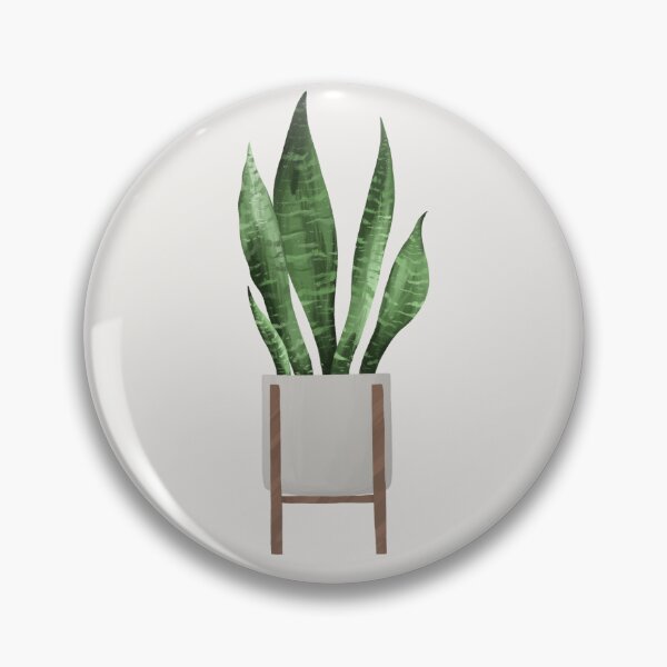 Item preview, Snake Plant in Mid Century Planter designed and sold by Michaela F.