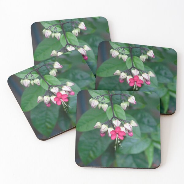 Item preview, Bleeding Heart Flowers Clerodendrum X122 designed and sold by RichFrancoCars.