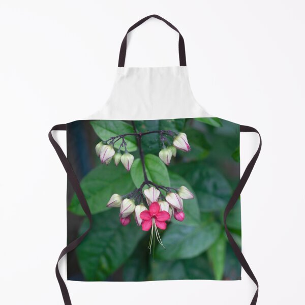 Item preview, Bleeding Heart Flowers Clerodendrum X122 designed and sold by RichFrancoCars.
