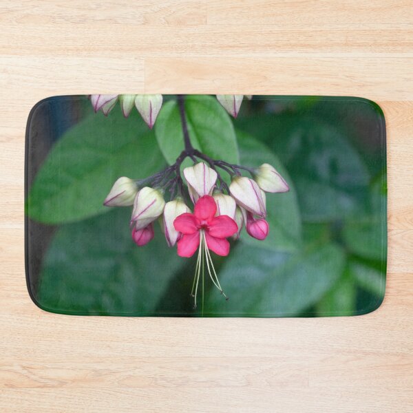Item preview, Bleeding Heart Flowers Clerodendrum X122 designed and sold by RichFrancoCars.