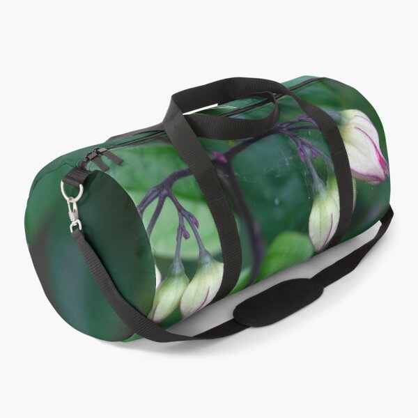 Item preview, Bleeding Heart Flowers Clerodendrum X122 designed and sold by RichFrancoCars.
