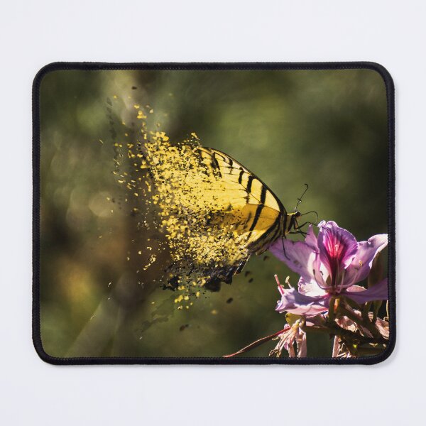 Item preview, fragmented butterfly designed and sold by ProyectoDoce.