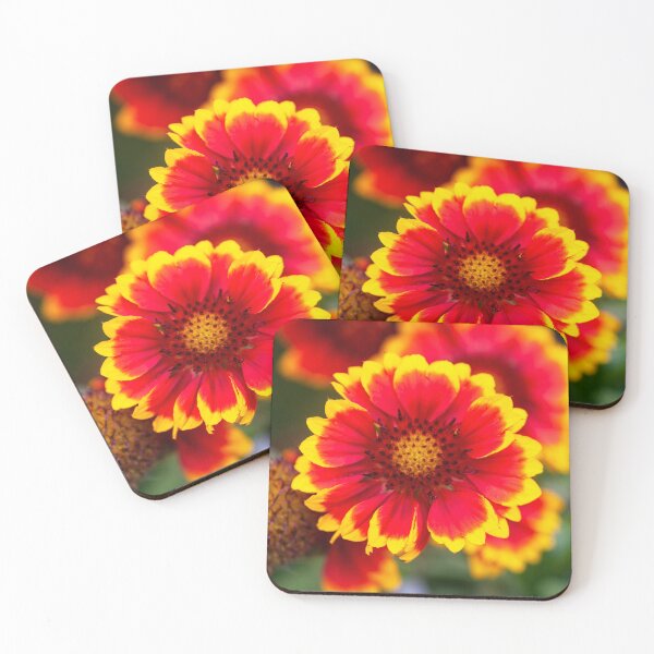 Item preview, Gaillardia Blanket Flower X105 designed and sold by RichFrancoCars.