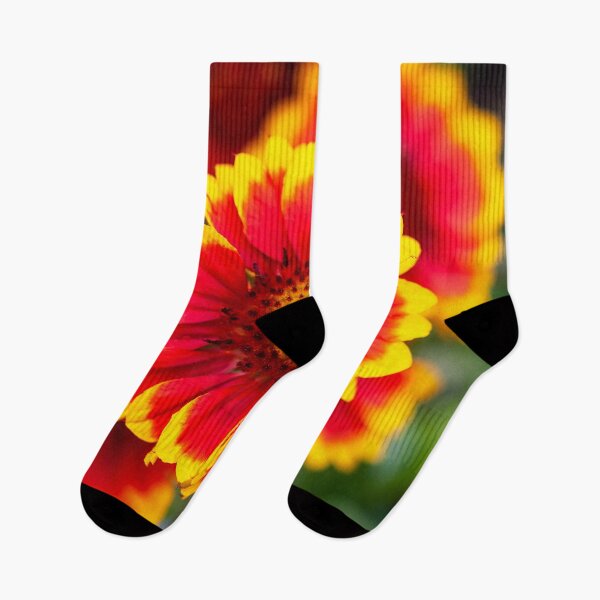 Item preview, Gaillardia Blanket Flower X105 designed and sold by RichFrancoCars.