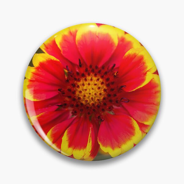 Item preview, Gaillardia Blanket Flower X105 designed and sold by RichFrancoCars.