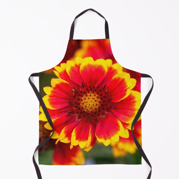 Item preview, Gaillardia Blanket Flower X105 designed and sold by RichFrancoCars.