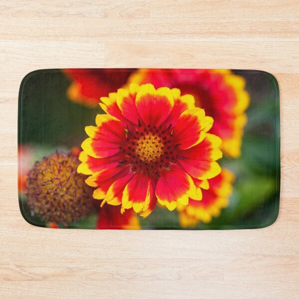 Item preview, Gaillardia Blanket Flower X105 designed and sold by RichFrancoCars.