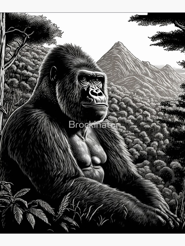 Mountain Gorilla Black and White Gorilla sitting in Mountain