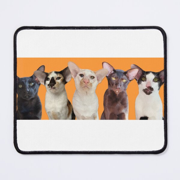 Item preview, Five Crazy Cats designed and sold by hannahzgreat.